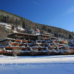 Welche sind die besten Hotels in der Nähe von Baumwipfelpfad Schwarzwald?